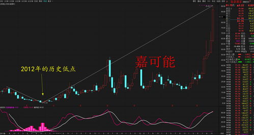 北京君正股票股,北京君正股票股是国止吗